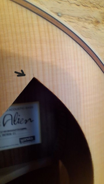 Warwick Alien, Lefthand, 4-String - Natural Transparent Satin, Demomodell